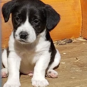 Meet your Posher, Gail